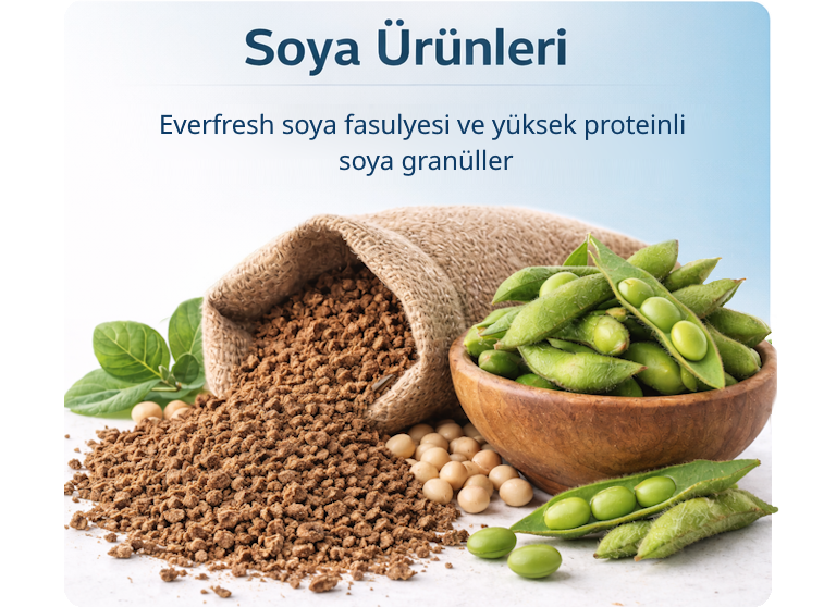 Soya Ürünleri