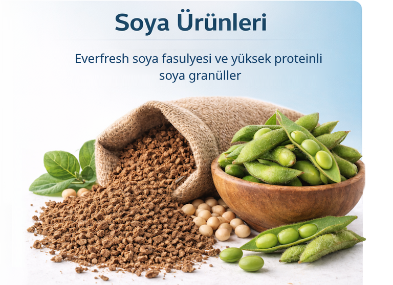 Soya Ürünleri