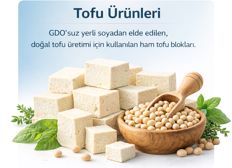 Tofu Ürünleri